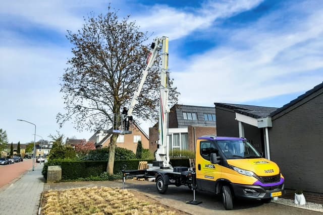 CELA DT Truck 25 vrachtwagenhoogwerker